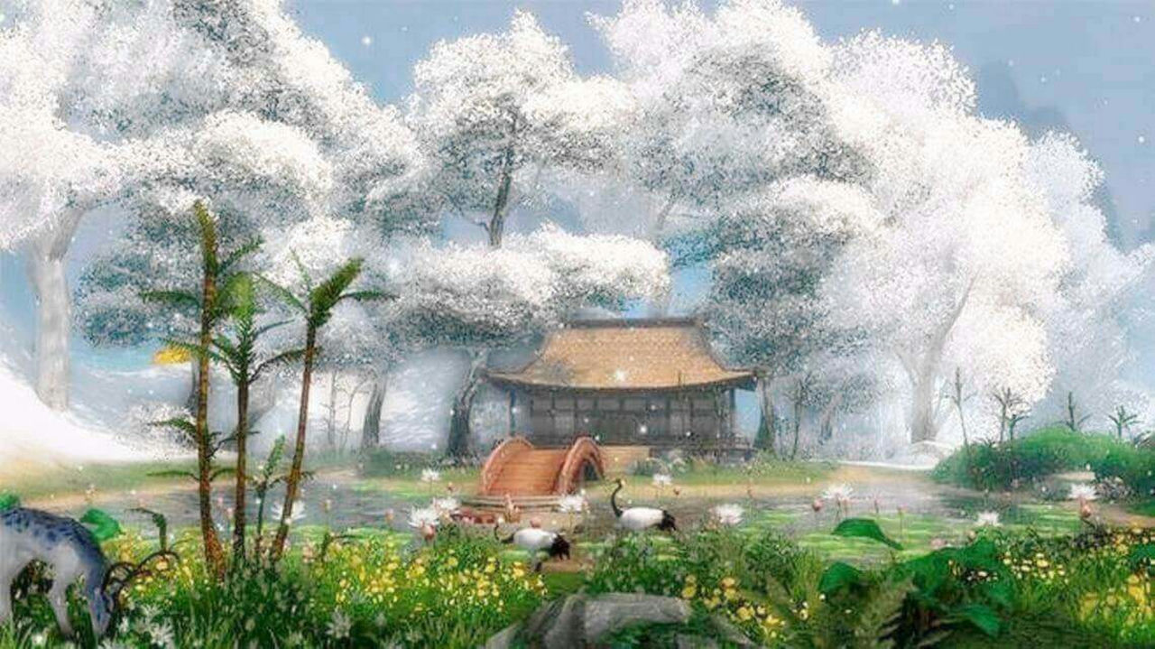 01.jpg