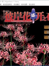 彼岸花盛开之夜 第一夜 彼岸花の咲く夜に 第一夜汉化硬盘版【485】